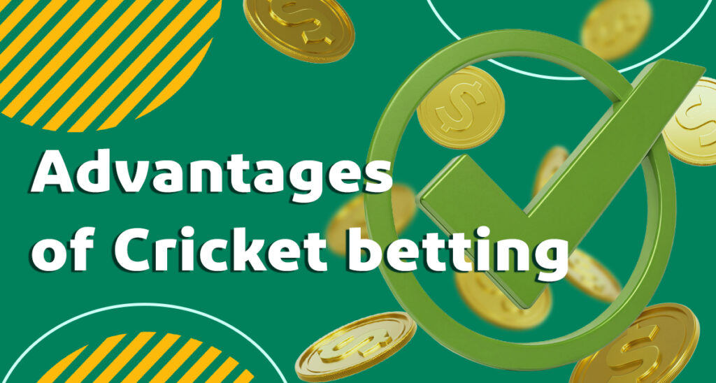 Advantages of Baji bookmaker for cricket betting