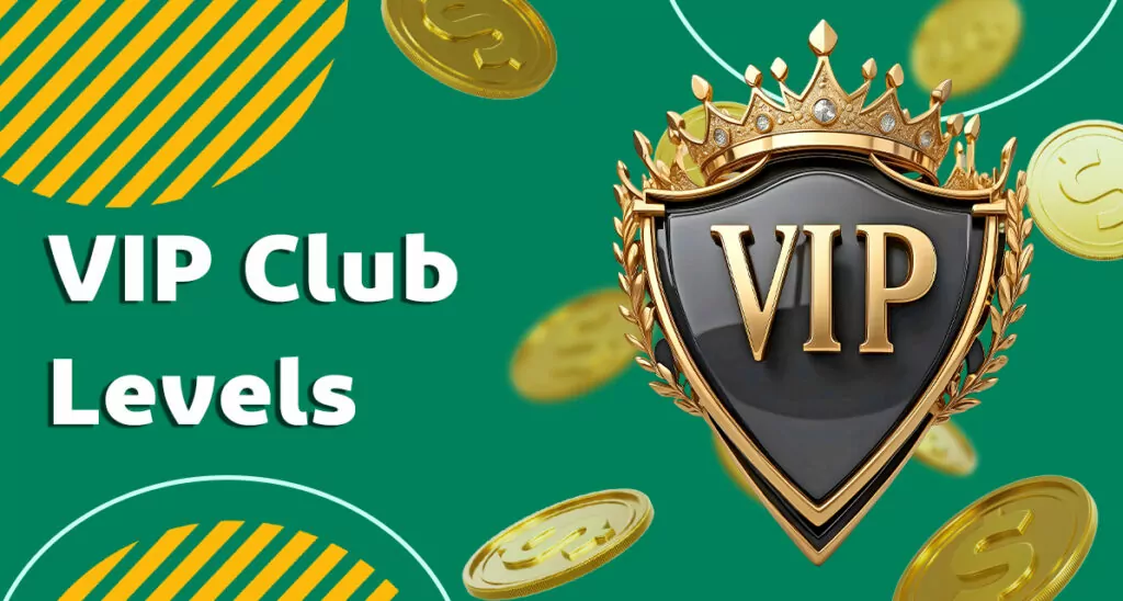 Available levels of the Baji VIP programme