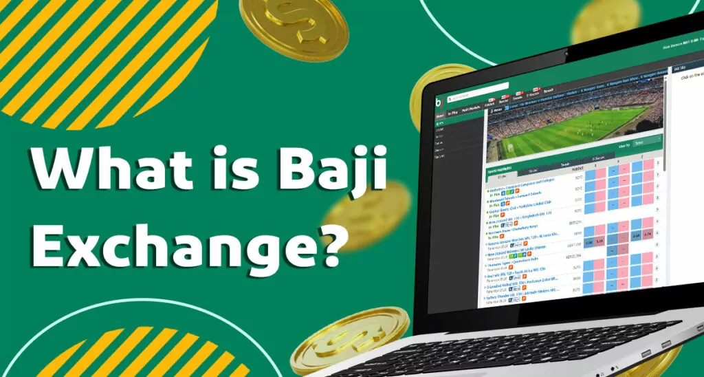 Description of the Exchange section on the Baji website 